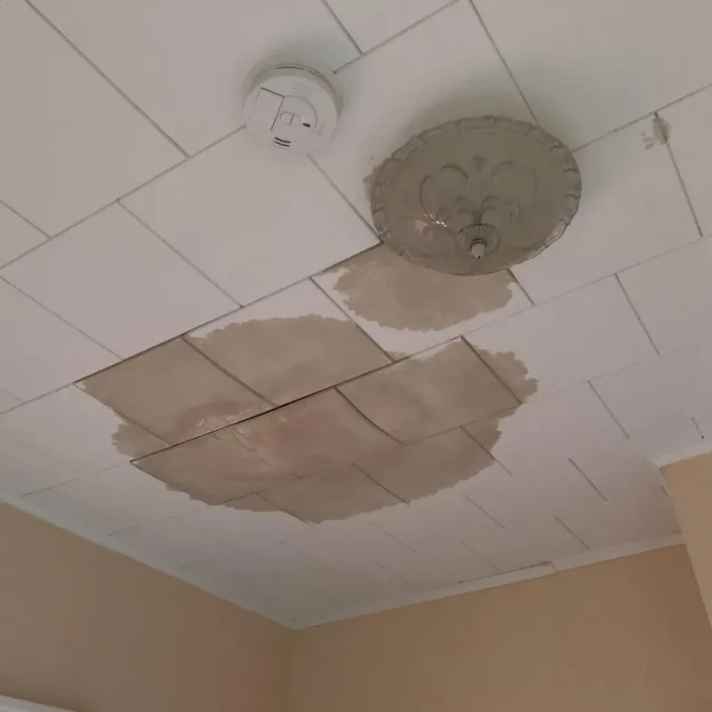 Ceiling Water Damage Repair in Lincoln Park, IL