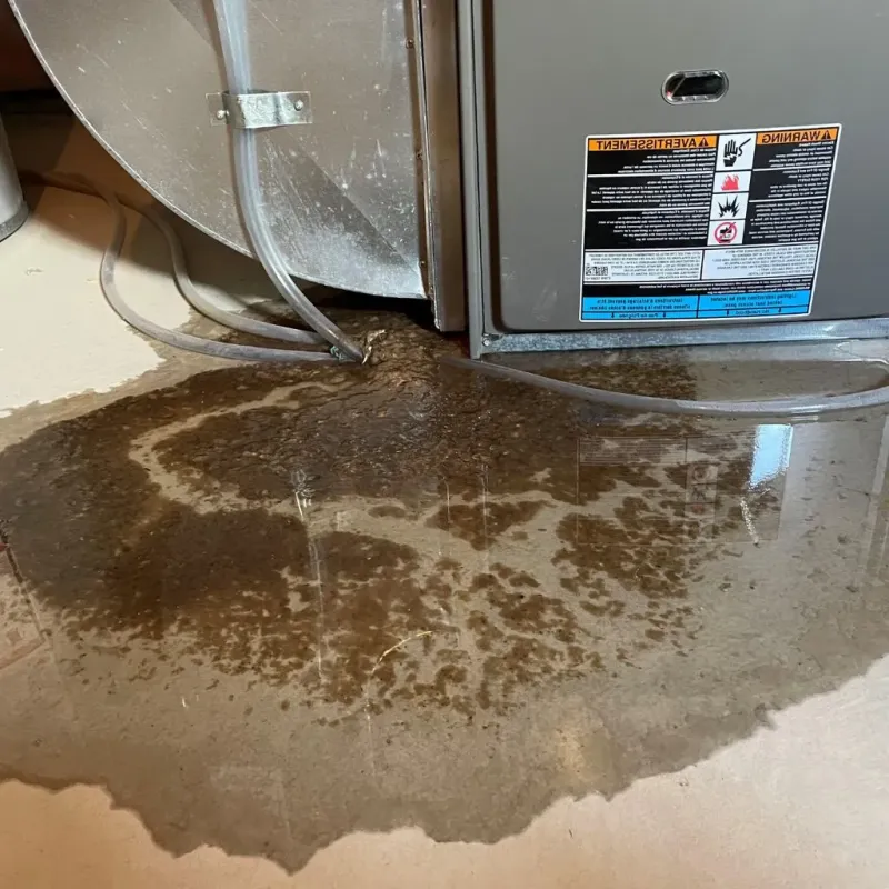 Pipe Burst and Leak Restoration in Lincoln Park, IL