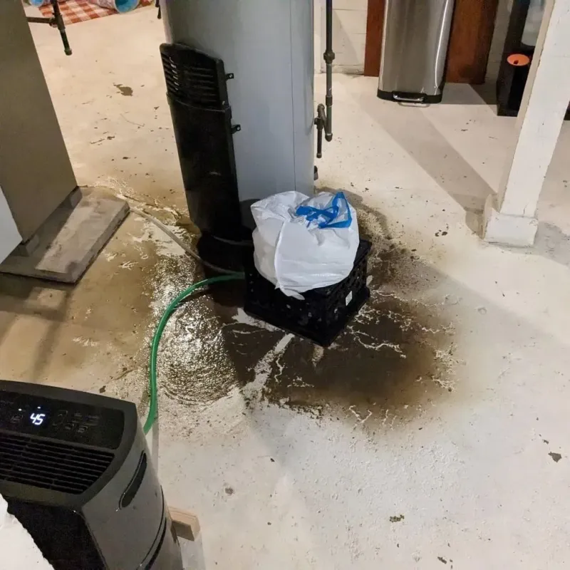 Sewage Backup Cleanup Service in Lincoln Park, IL